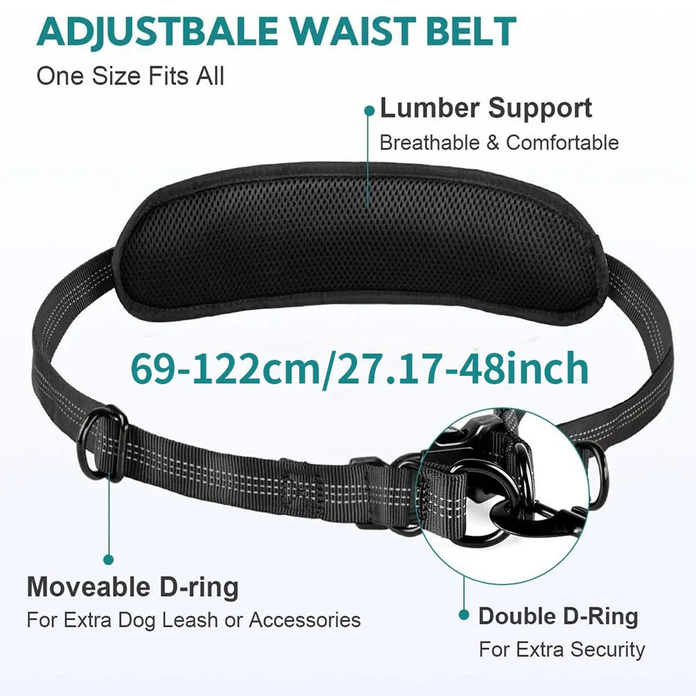 StrideSync Hands-Free Dual Dogs Leash