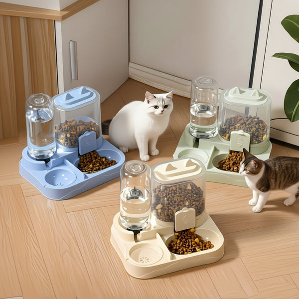 Pawluxe Station