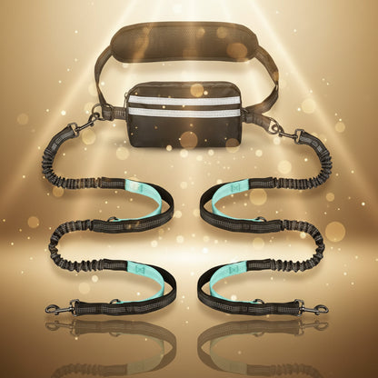 StrideSync Hands-Free Dual Dogs Leash